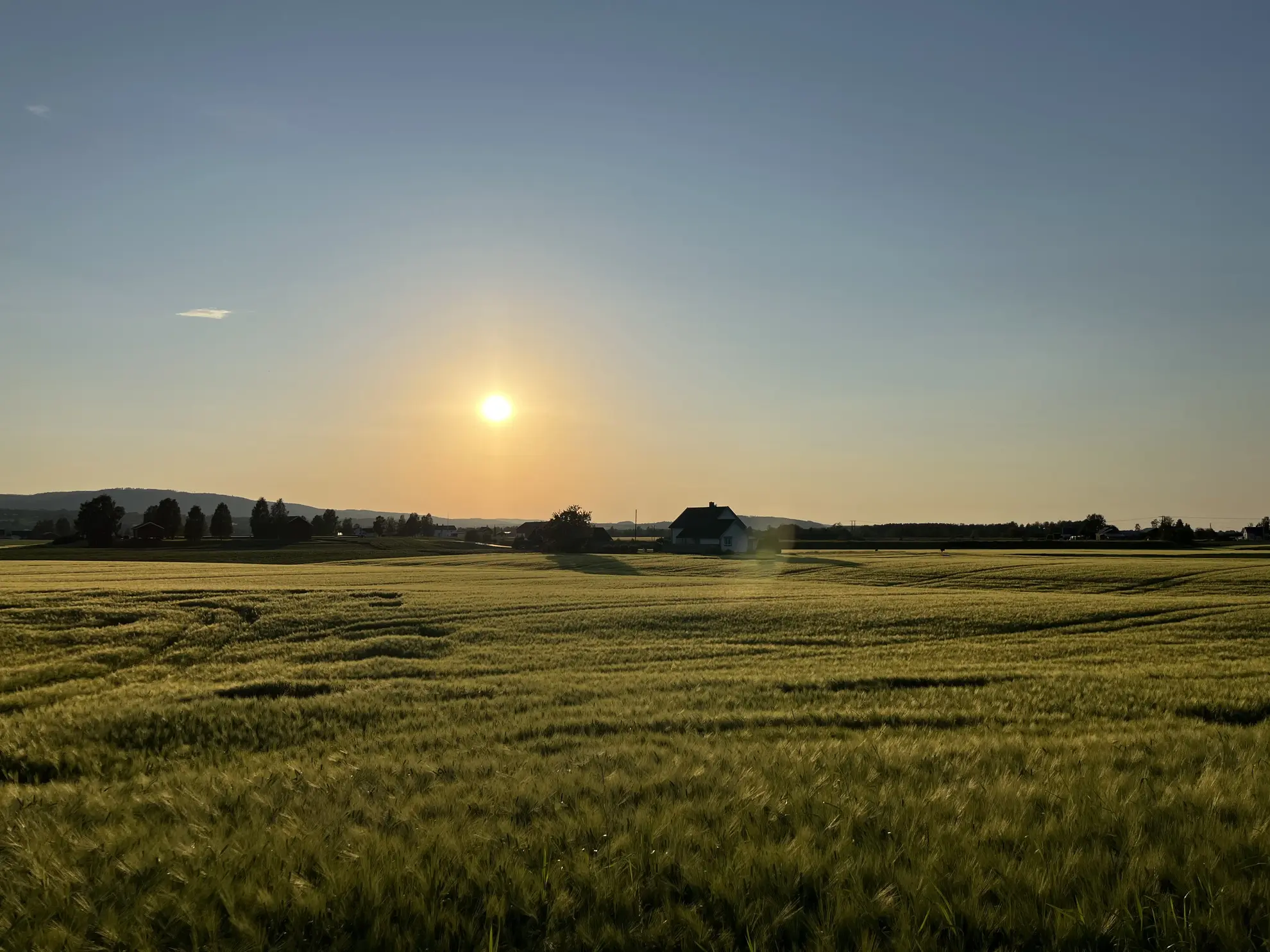 Fields of Solør in Glåmdalen