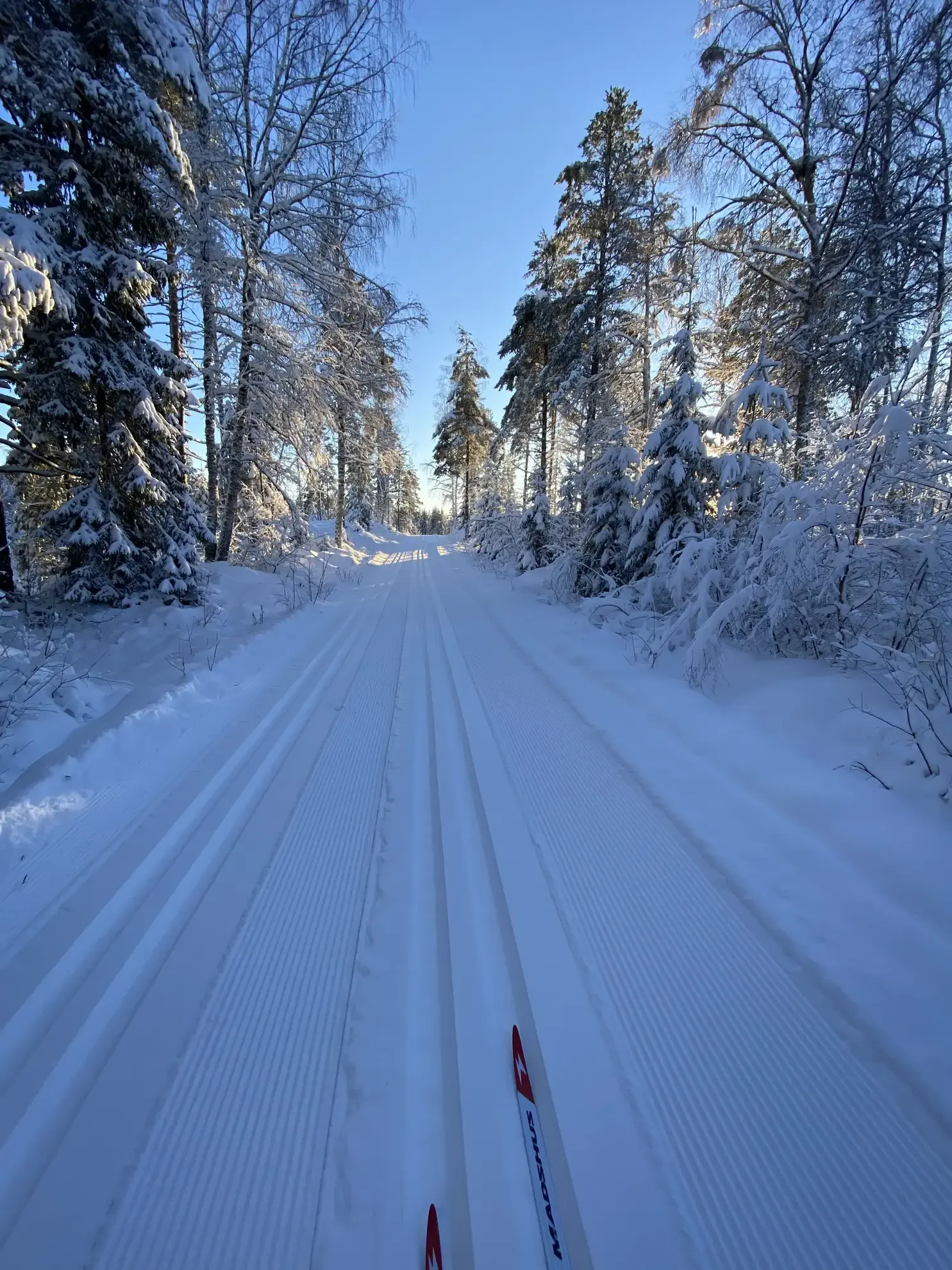 Pristine ski trails